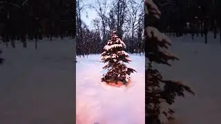 вышли погулять