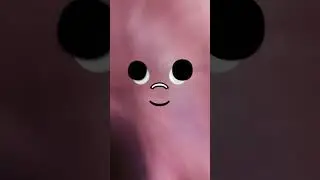 ⚫⚪