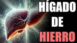 Cuidar el Hígado: Claves para una Salud Óptima