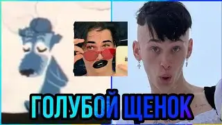МИЛОХИН ГОЛУБОЙ ЩЕНОК