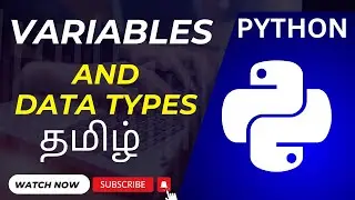 Python Data Types and Variables Explained | How to Declare Variables in Python