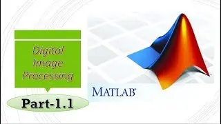 read an image | Digital image processing using matlab | bangla tutorial