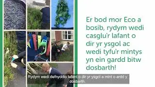 Syniadau Mawr Cymru   Y Criw Mentrus   Sebon Eco Penalltau   Penalltau
