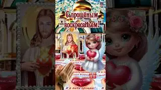 Красивая открытка с прощёным воскресеньем!🌿❤️🙏❤️🌿