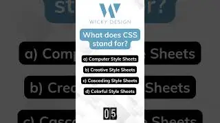 What does CSS stand for?