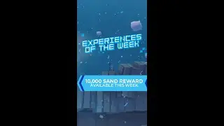 Experiences of the Week | August 16th | 