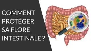 What foods are good for our intestinal flora? - Nutrition Question