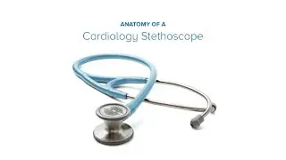 Anatomy of a Cardiology Stethoscope