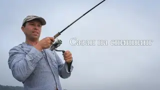 Сазан на спиннинг