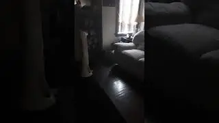 The house with lost souls (totally not scary)