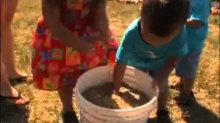 cowpurchase.wmv