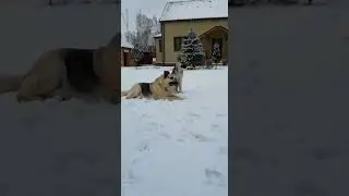 Наши ветераны и наши бэби