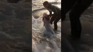 Sacando Una Bestia De 30K Del Agua