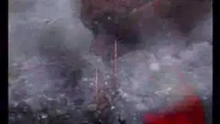 Monster Hunter(PS2) Lao Battle