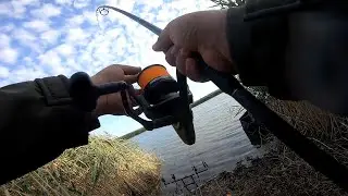 Рыбалка с Ночевкой на Карпа