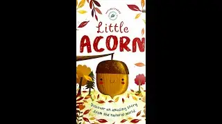 Little Acorn