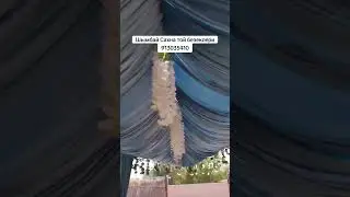 ШЫМБАЙ ТЕНЕЛ БАКСЫ 91 265 50 10   94 266 50 10 тек жанлы хауазда хызметте