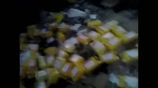 Как я гуляю:)