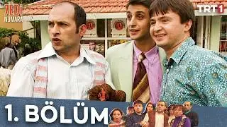 Yedi Numara 1.Bölüm