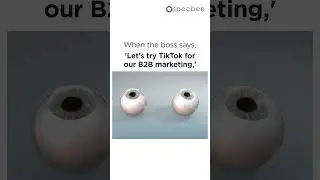 TikTok B2B Marketing Master Class 101 😛