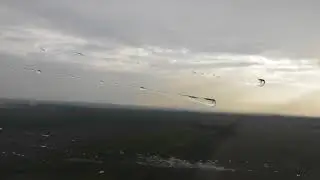 Полёт с Маэстро