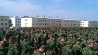 Общее построение Резервистов