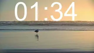 2 Minute Timer | Sunset Beach and Seagulls