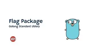 Golang standard library - Flag Package part 04