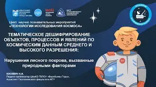 Дешифрирование объектов, процессов и явлений по космическим данным: нарушения лесного покрова