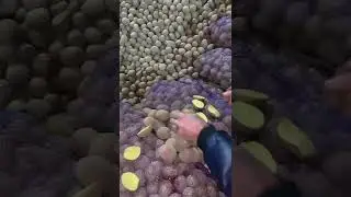 хороший картофель
