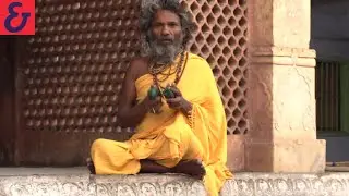 Indien Reise: Entdecker-Video (Teil 2) | Berge & Meer