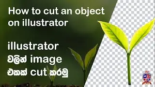 How to cut out an image / object in Illustrator CC 2019