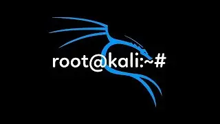 Kali Linux Root Kullanıcıya Geçiş & Güncelemeleri Yapma.