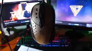 САМАЯ ДОРОГАЯ ИГРОВАЯ МЫШЬ ЗА 300$