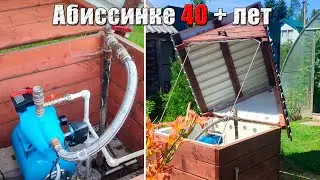 Абиссинке 40 лет. Бурим по-соседству. Вода пошла с другой стороны приямка. Рузский район, МО