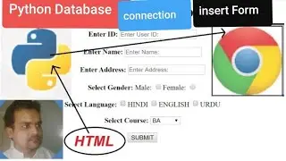 Python Database(mysql) connection Using XAMPP with HTML-Form