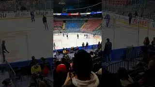 Волков переоделся в зайца.