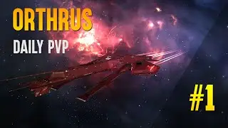 Orthrus | Daily PvP #1