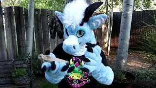 💎A Dragon shows you his Hoard✨ | Dragon Furry ASMR | No Talking 😪