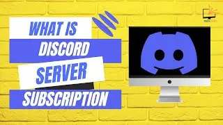 Discord's Server Subscriptions Need Some Work...