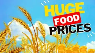 Why Your Bread is More Expensive Than Ever and What’s Next