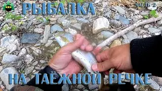 Рыбалка на таёжной речке (часть 2)