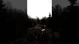 09 апреля 2024 