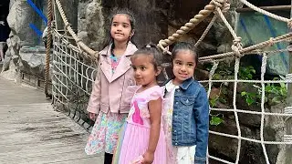 Tropical Rainforest | Tropical Evergreen Forest | Tropical Forest | Zoo New England | Triple Sisters