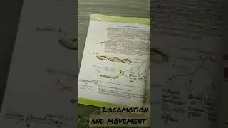 Locomotion and movement.        #neet #neet2022 #neetbiology