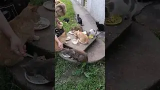 Наша мама пришла....