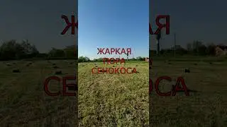 ЖАРКАЯ пора сенокоса. Сенокос 2024. 