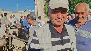 Хоразм хазарасп куй кузи нархлари