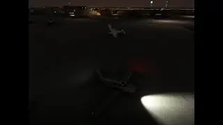 Microsoft Flight Sim Be Like: