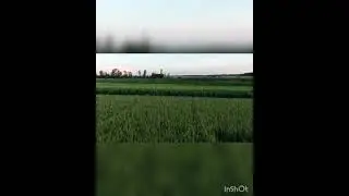 15 августа 2021 г.